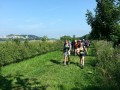 2013-07-18 10_44 005
